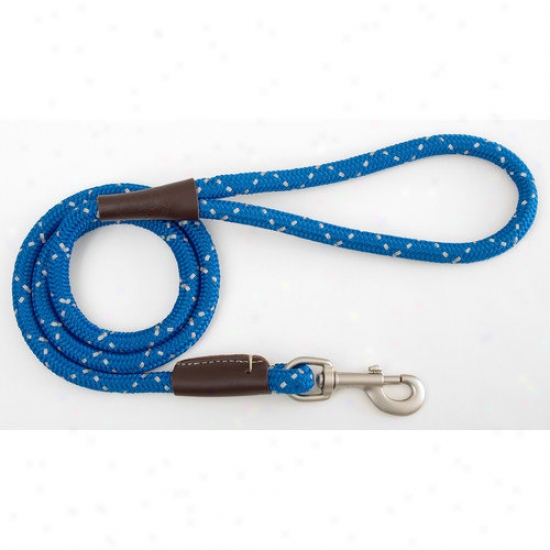 Mendota Night Viz Snap Leash In Midnight Blue