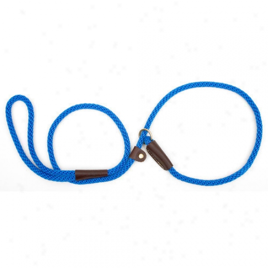 Mendota Small Slip Leash In Blue