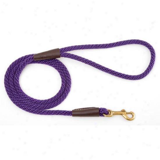 Mendota Shallow Snap Leash In Purple