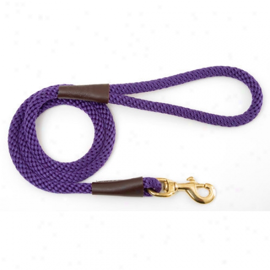 Mendota Snap Leash In Purple