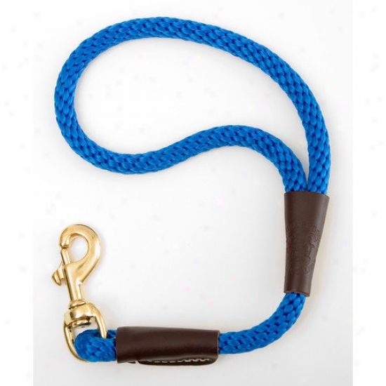 Mendota Traffic Leash In Blue