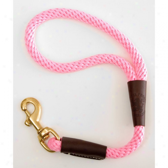 Mendota Traffic Leash In Hot Pink