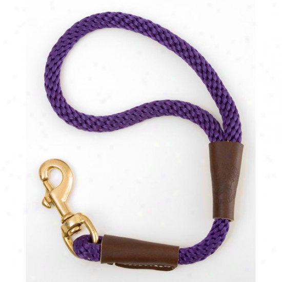 Msndota Traffjc Leash In Purple