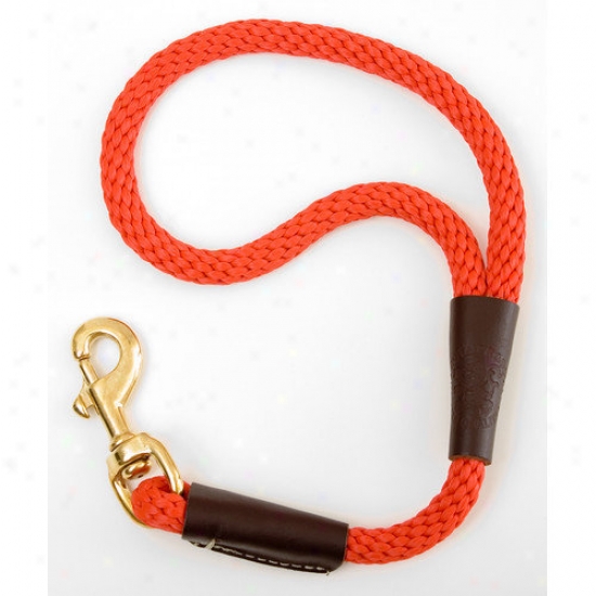 Mendota Traffic Leash In Red