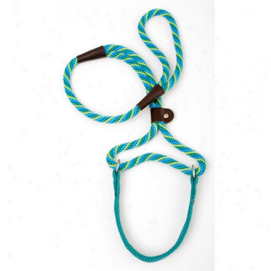 Mendota Twist Big Dog Walker In Seafoam