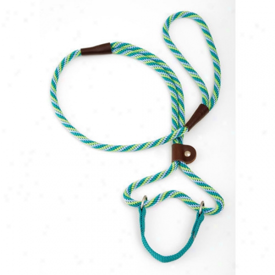 Mendota Twist Dog Walker In Seafoam