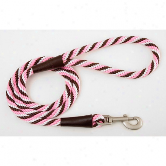 Mendota Twist Snap Leash In Pink Chocolate