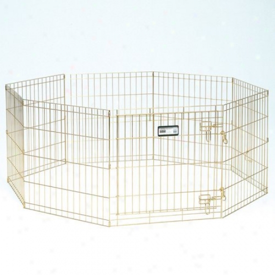 Midwest 30 In. Gold Dog Exercise Pen With Door