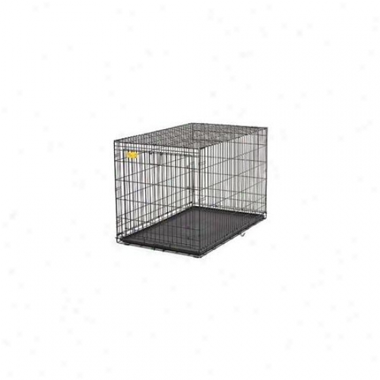 Midwest Ace-442 Life Stage A. C. E.  Crate 42 Inch X 28 Inch X 30 Inch