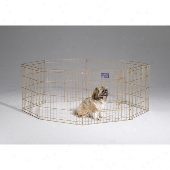 Midwest Homes For Pets Exercise Pen With Door In Gold Finish