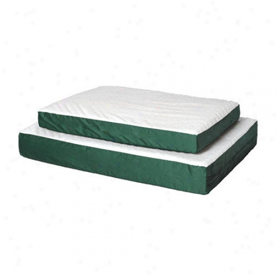 Midwest Homes For Petx Moderate Time E'sensuals Coupled Densely Orthopedic Dog Bed