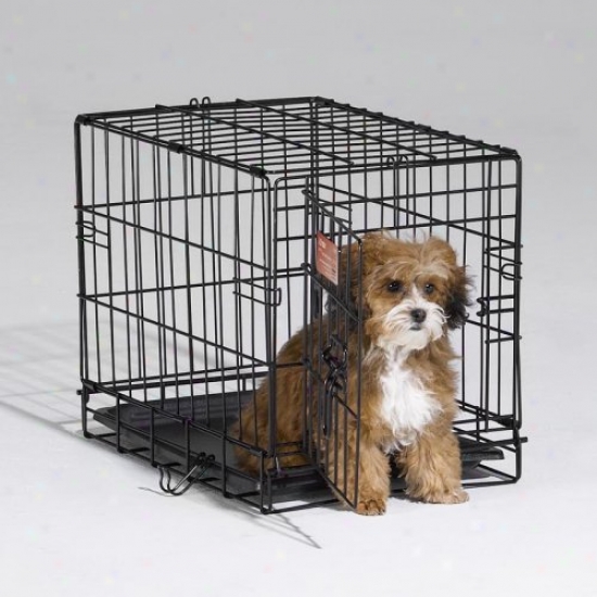 Midwest Icrate Folding Single Door Dog Crate