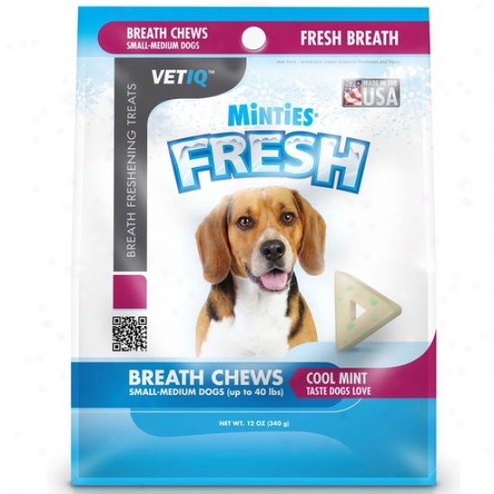 Minties From Vetiq Fresh, S/m ,12 Oz