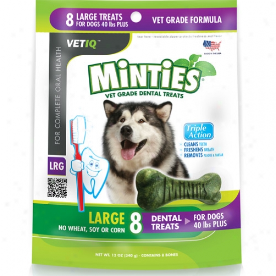 Minties From Vetiq Large Dog Dental Treats, 12 Oz