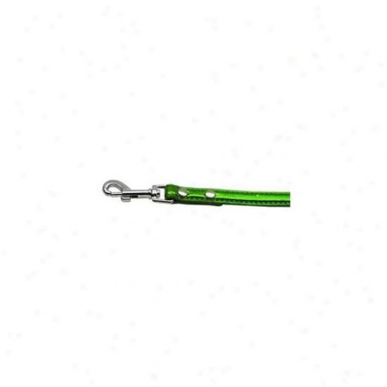 Mirage Pet Products 10-02 34ldegm . 38 Inch  - 10mm Metallic Two Tier Collar Emerald Green . 75 Inch  Leash