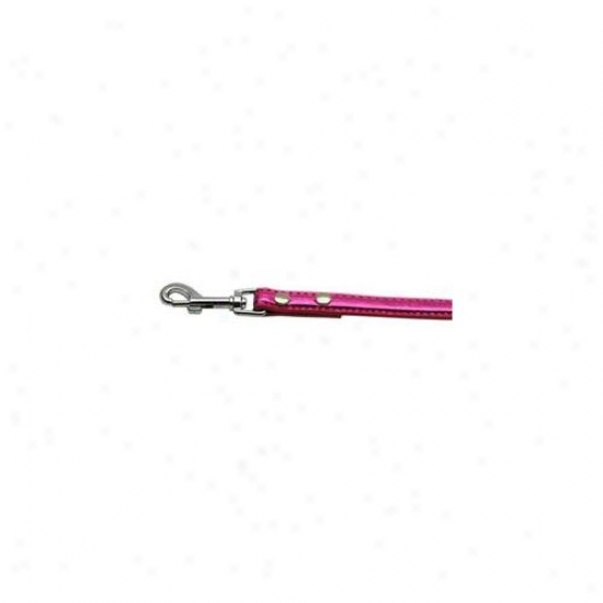 Mirage Pet Products 10-02 34ldpkm . 38 Inch  - 10mm Metallic Two Tier Collar Pink . 75 Inch  Leash