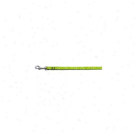 Mirage Pet Products 125-O03 3806lg Retro Nylon Ribbon Collar Lime Green . 38 Widde 6ft Lsh