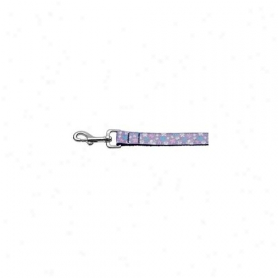 Mirage Pet Products 125-005 1006lv Butterfly Nylon Ribbon Collar Lavender 1 Spacious 6ft Lsh