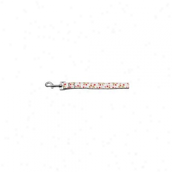 Mirage Pet Products 125-020 1006rd Roses Nylon Ribbon Leash Red 1 Inch Wide 6ft Long