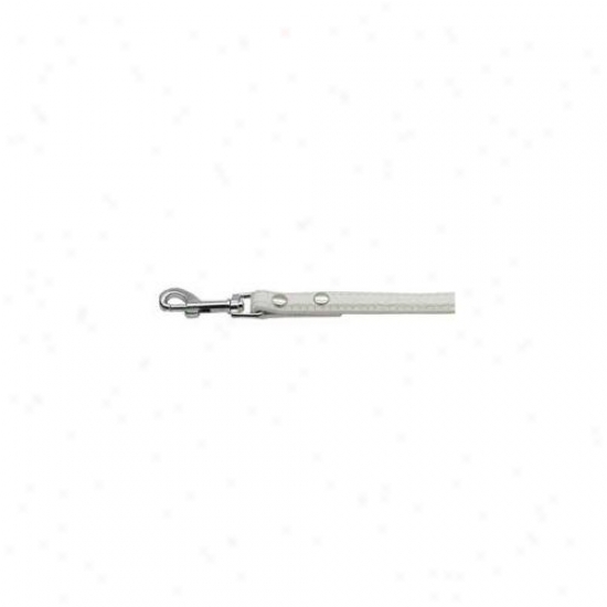 Mirage Pet Products 18-01 34wtc 18mm  Two Tier Faux Croc Collar White . 75 Inch  Leash