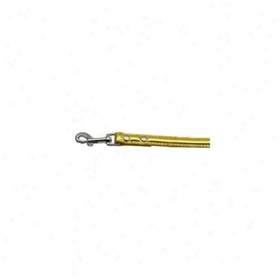 Mirage Pet Products 18-02 12gdm . 75 Inch  - 18mm Metallic Two-tier Collar  Gold . 50 Innch  Leash
