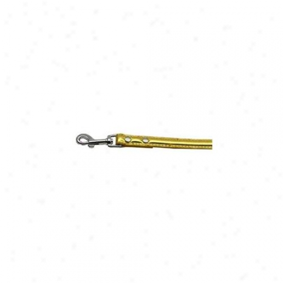 Mirage Pet Products 18-02 34gdm . 75 Inch  - 18mm Metallic Two-tier Collar  Gold . 75 Inch  Leash