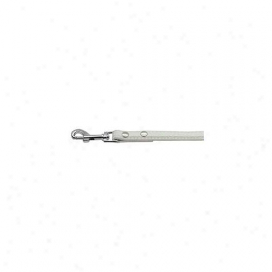 Mirage Pet Products 35--01 12wt Faux Croc Beaded Collar White . 50 Inch Match Plwn Leash
