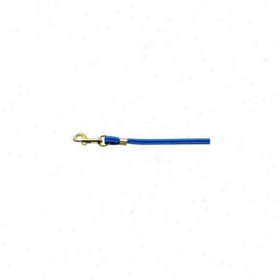 Mirage Pet Products 80-04 Bl Gd Hrw Round Leash Blue Gold Hardware