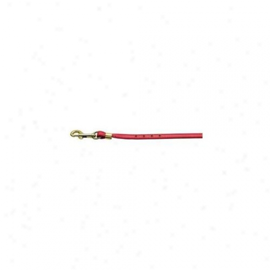 Mirage Fondle Products 80-05 Rd Gd Hrw Color Crystal Leash Red  With  Red Stones Gold Hardware