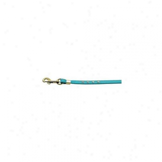 Mirage Pet Products 80-06 Tq Gd Hrw Clear Crystal Leash Turquoise Gold Hardware
