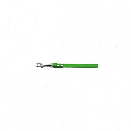 Mirage Pet Products 83-12 12emg Fashionable Leather Leash Emerald Green . 50 Inch  Wide