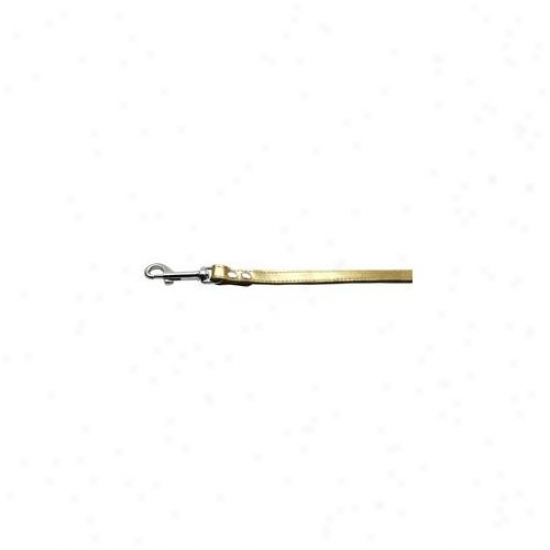 Mirage Pet Products 83-12 12gd Fashionable Leather Leash Gold . 50 Inch  Wide