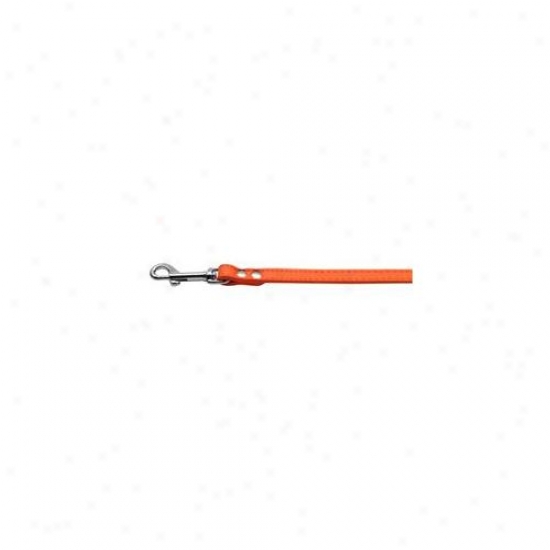 Mirage Pet Products 83-12 12or Fashionable Leather Leash Orange . 50 Inch  Wide