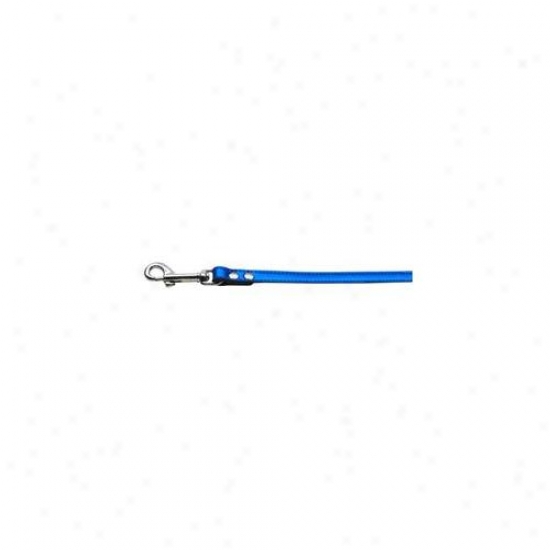 Mirage Pet Products 83-12 34blm Fashionable Leather Leash Metallic Blue . 75 Inch  Wide