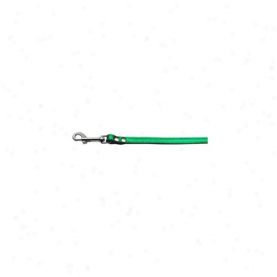 Mirage Pet Products 83-12 34egm Fashionable Leather Leash Metallic Emerald Green . 75 Inch  Wide