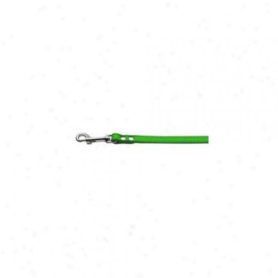 Mirage Pet Products 83-12 34emg Fashionable Leather Leash Emerald Gfeen . 75 Inch  Wde