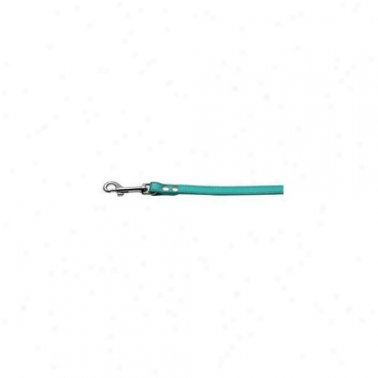 Mirage Pet Products 84-12 34jd Fashionable Leather Leash Jade . 75 Inch  Wide