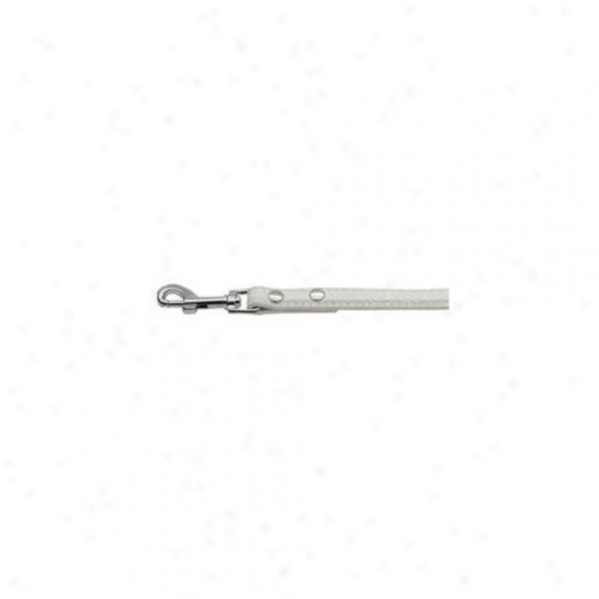 Mirage Pet Products 87-02 12wt Faux Croc Crystal Bone Collars Pure Half Inch Wide Leash