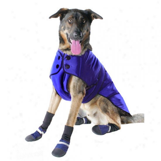 Muttluks Belted Dog Coat In Blue