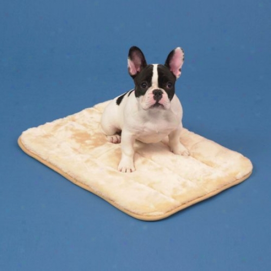 Natural Snoozzy Sleeprr Dog Bed