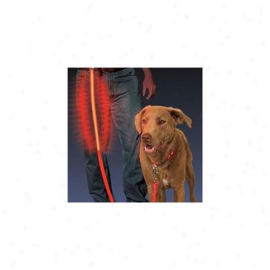 Nite Nnl0310 Dawg Buoyant Up Leash - Red
