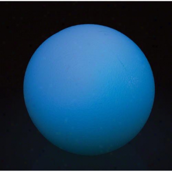 Niteize Meteorlight  K-9 Ball: Disc-o Led
