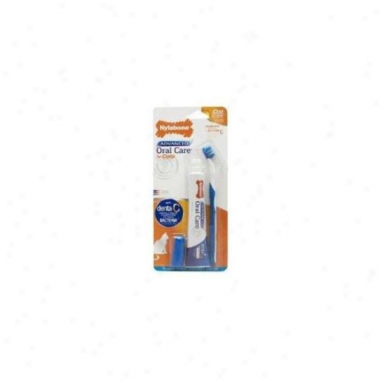 Nylabone Corp - Bones - Adganced Ora1 Anxiety Cat Dental Kit - Npd901p