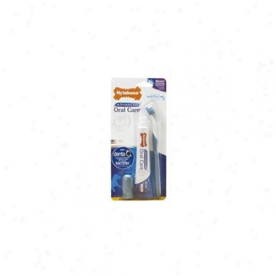 Nylabone Corp - Bones - Advanced Oral Care Senior Drntal Kit Small Dog - Nppd401p