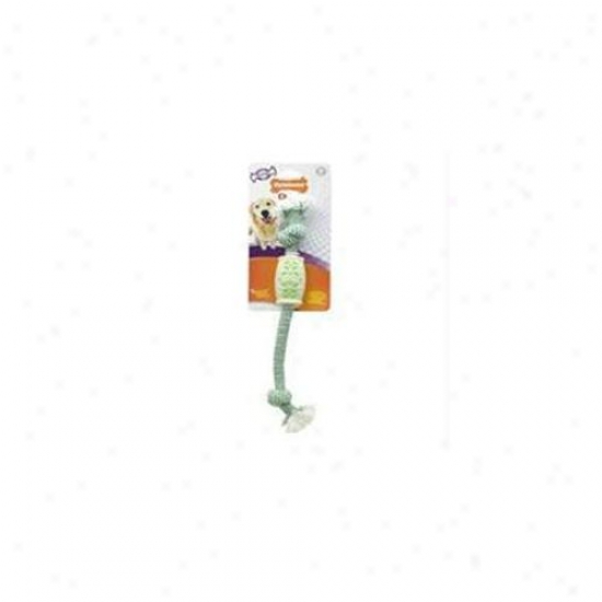 Nylabone Corp - Bones - Dental Knot Double Rope- Mint Giant - Nrt401p