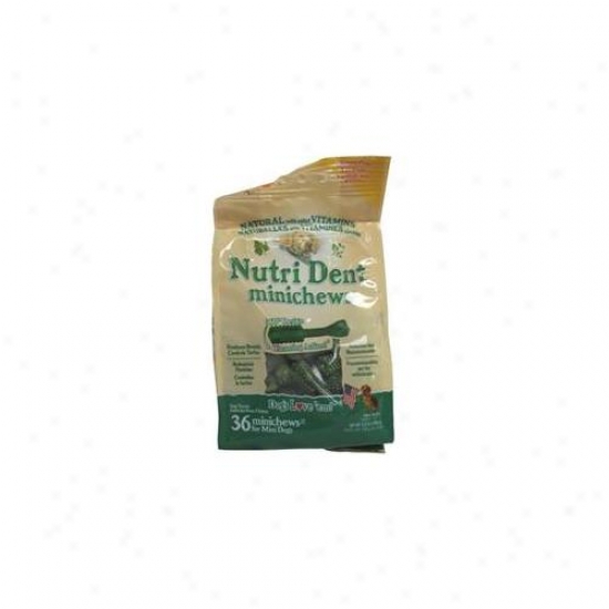Nylabone Corp - Bones - Nutri Dent- Fresh 36 Pack-mini - Ntd300m36w
