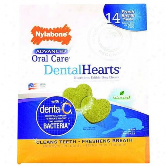 Nylabone Corp Npd05m14p Advanced Oral Care Dental Hearts Treats
