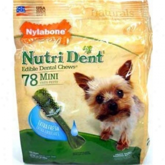 Nylabone Corp Ntd418m78p Nutri Dent