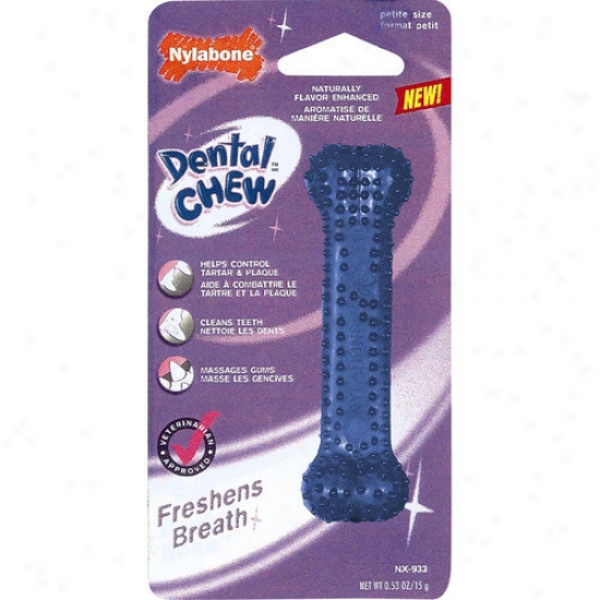 Nylabone Dental Chew Bone Dog Toy