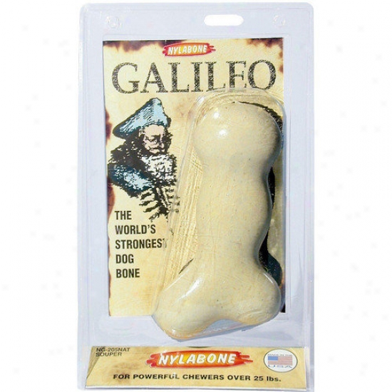 Nylabone Galileo Bone Dog Chew Ty